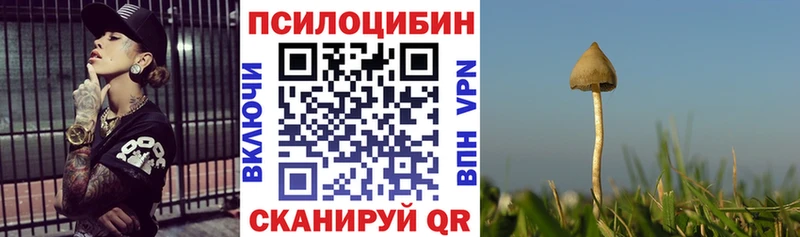 hydra tor  где можно купить наркотик  Урюпинск  Галлюциногенные грибы мицелий 