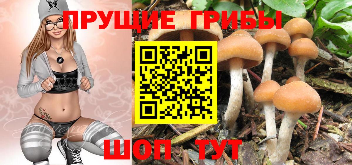 Псилоцибиновые грибы мухоморы  Псилоцибиновые грибы MAGIC MUSHROOMS  Урюпинск  Вход с VPN 