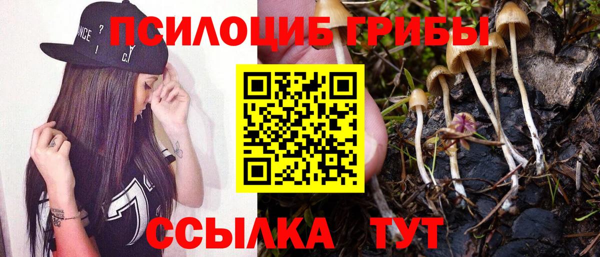 Галлюциногенные грибы ЛСД Урюпинск